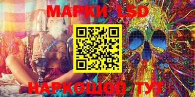 шишки Будённовск