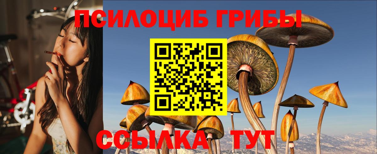 Галлюциногенные грибы мицелий Обь